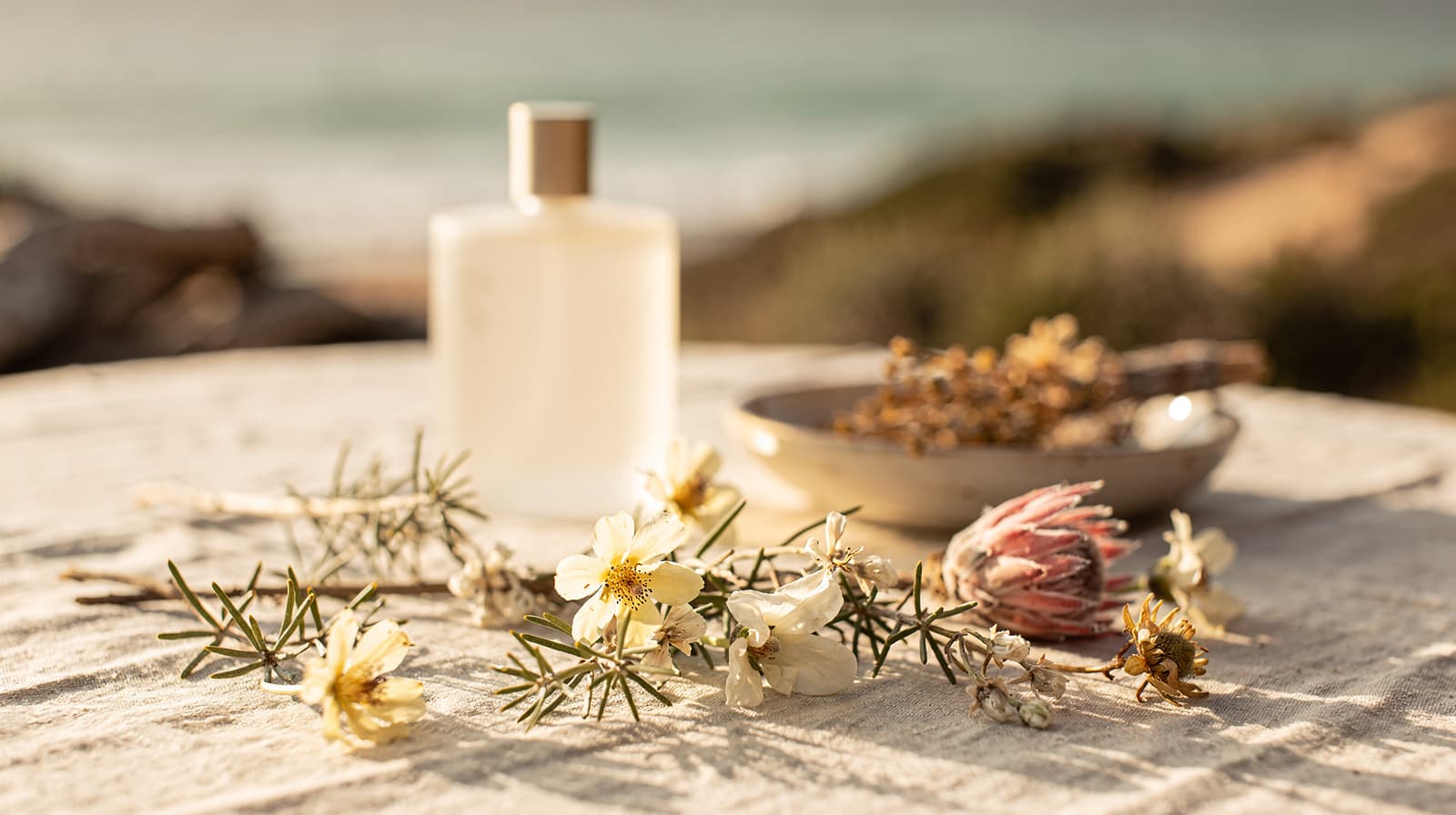 What Makes Fynbos the Most Distinctive Scent in South Africa